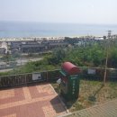 장밖휴게소 | 강원도 동해고속도로 오션뷰 명소 동해휴게소