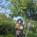 산빛민박 이미지