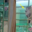 냥냥쌀롱 이미지