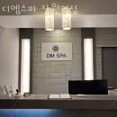 디엠스파
