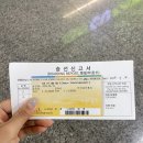 오픈카 | 우도 전기차 [코코나라] 2인승 전기 오픈카 대여 후기!