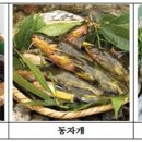 백세전복식품