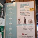 멍이와 쿤이 이미지