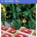 과일창고탐스
