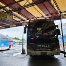 영주시 실내수영장 | [영주] 영주실내수영장 원정 가기! 1일 입장 자유수영