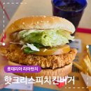 롯데리아포항점 | 핫크리스피치킨버거 세트 칼로리 롯데리아 리아런치 가격