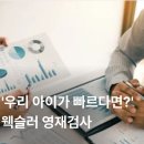 웩슬러 영재 검사, IQ 지능 정확도 알아본 후기