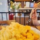 투썸플레이스 커피 메뉴 케이크 종류 망고빙수솔직후기