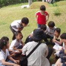 고리울초 이미지