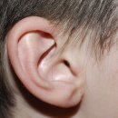 포낙보청기 진해점 이미지