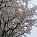 대구성서우체국 이미지