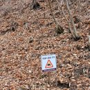 태백고원자연휴양림 이미지