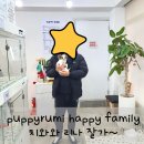 퍼피루미 이미지