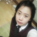 스타웨딩 Daum카페