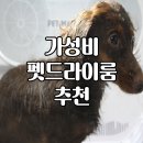 유미 펫 | 펫드라이룸 추천 가성비 중저가 강아지드라이룸 디클펫