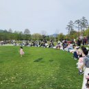 그린루트