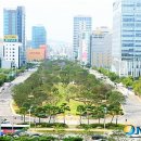 시청앞 미관광장 이미지