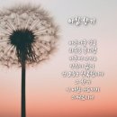 아침향기 이미지