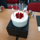 21.8월 일상일기(푸바오에게 빠진 나날, 갤럭시워치4 사전구매, 창녕마늘버거, 국무사)