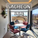 멍플러피 | 경남 사천 카페 모도록 실안 해안도로 애견동반 가능한 카페