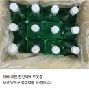 뼈에좋은 고로쇠.가래수액첫물 주문 받습니다~ 이미지