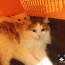 루시호텔 이미지