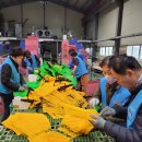 우신환경산업 이미지