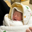 더플라워 산후조리원 일산점 | 초산 조리원 추천 - 더플라워산후조리원 일산점(화정)