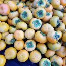 보신농장 이미지