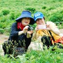 곰배령 주니네 이미지