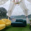 쁘띠독애견펜션 | 경기도애견동반펜션 쁘띠독 애견펜션 가볼만한곳