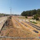 전원향기펜션 이미지