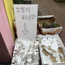 푸르티아수영