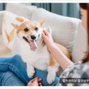 월드크리닝울산 이미지