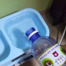 (주)반려애수 이미지