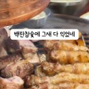 5920 | 신당 고기집 신상 등장 백탄 참숯에 구워주는 신당 맛집 백탄장흥집 신당본점 솔직 후기
