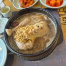 [하남 맛집]N회차 방문 내돈내산 지호한방삼계탕 하남직영점 경기도 하남 남양주 맛집