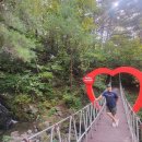 가리왕산 휴양림 이미지