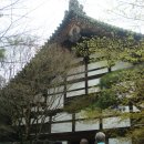 교토11 - 닌나지 절을 구경하고는 킨카쿠지 절에 가다! 이미지