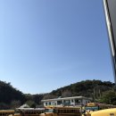 아기랑 태안 안면도 스쿨버스 캠핑장 후기