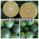 훈농장 이미지