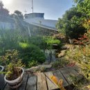 도원관광펜션 이미지