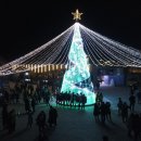 별빛처럼 이미지