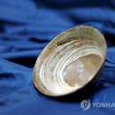 김월선 연합뉴스