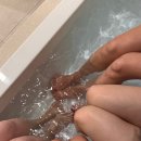 예담 | 벨포레 리조트 맛집 남도예담 후기, 기대없이 갔다가 만족한 증평 한식