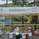 무등울림축제와 함께 한 누리랑께마켓 행사후기입니다