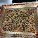 무교동낙지 앞 | 인천 부평 맛집 무교동 낙지전문점 내돈내산 후기