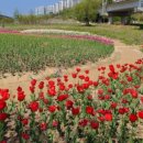 낙동강관리본부 화명생태공원 12 이미지