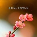 보름세탁소 Daum카페
