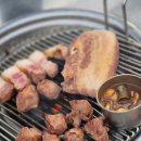 제주공항 흑돼지 현지인 맛집 &#39;돈사촌 본점&#39; 반려동물 동반 가능, 혼밥 가능!